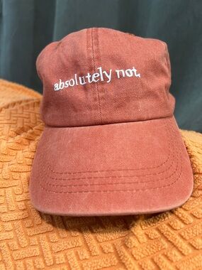 Absolutely Not Embroidered Cap in Rust